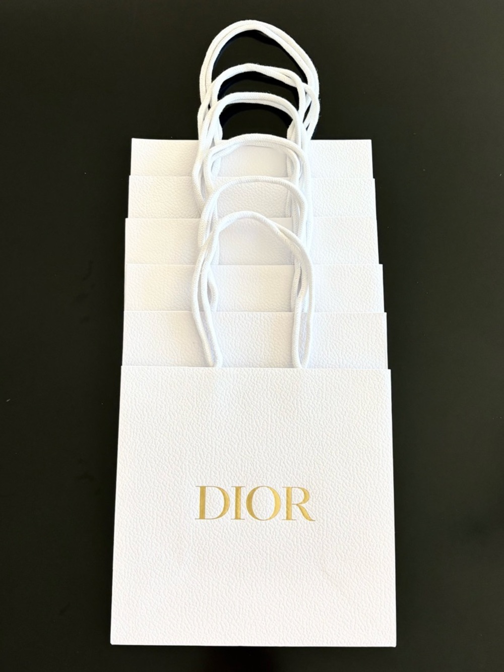 DIOR Set of 6 Shopping Totes